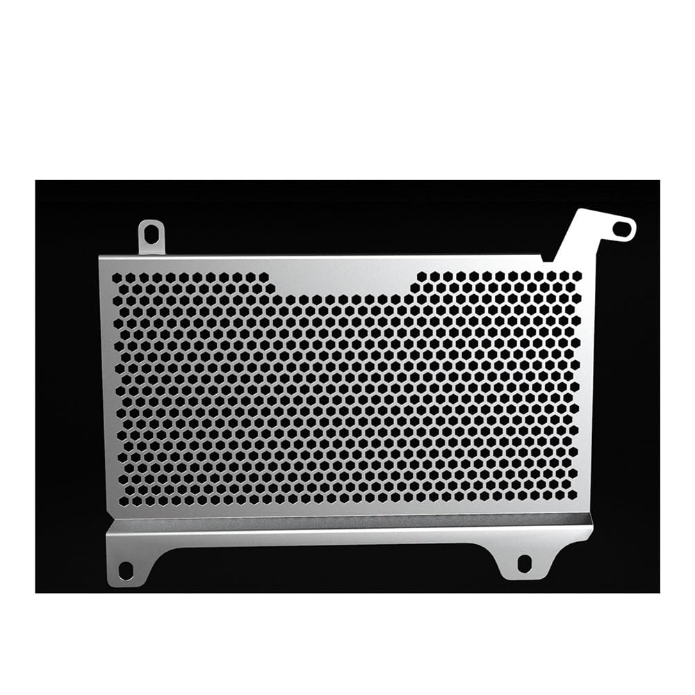Motorrad Zubehör Kühlergrill Schutz Abdeckung Wasser Tank Kühlt Schutz Für NX400 NX500 2023 2024 2025 Motorrad Zubehör Kühlergrill Schutz Abdeckung Wasser Tank Kühlt Schutz Für NX400 NX500 2023 2024 2025 von XPGHYIU