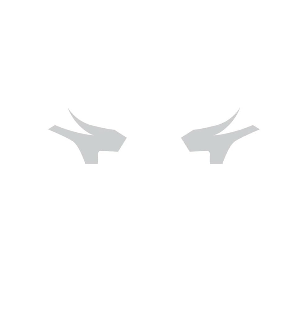 XRLHMP 2 Stück Autoscheinwerfer-Schutzfolie, transparent, schwarz, TPU-Aufkleber, kompatibel mit Toyota Tundra 2022 2023 2024, Rückspiegel-Zubehör(Clear Rearview) von XRLHMP