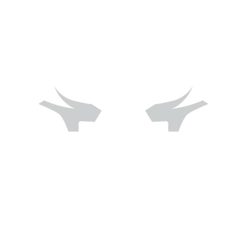 XRLHMP 2 Stück Autoscheinwerfer-Schutzfolie, transparent, schwarz, TPU-Aufkleber, kompatibel mit Toyota Tundra 2022 2023 2024, Rückspiegel-Zubehör(Clear Rearview) von XRLHMP