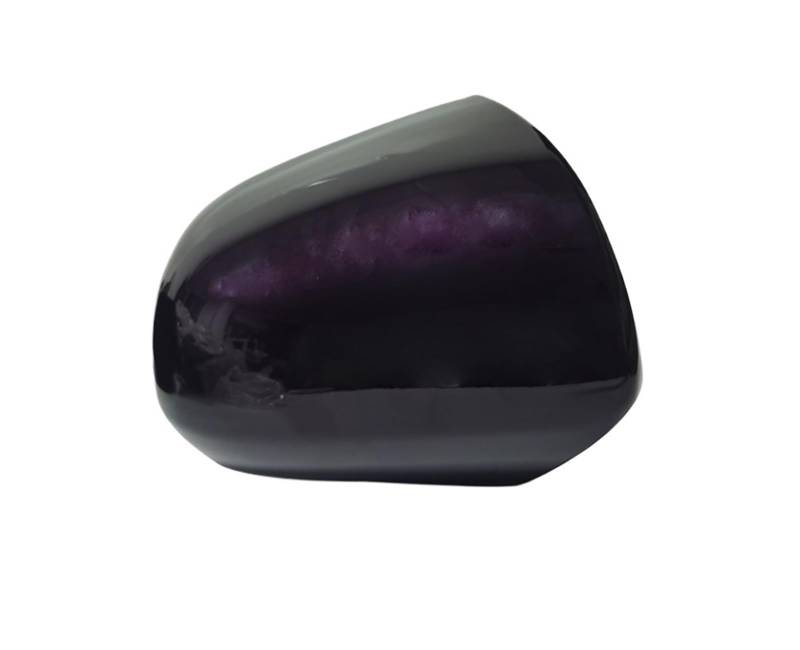 Spiegelkappen Für Odyssey 2005-2008 Auto Rückspiegel Abdeckung Rückspiegel Shell Gehäuse Rückspiegelkappe(1pcs purple right) von XVGUOYAN