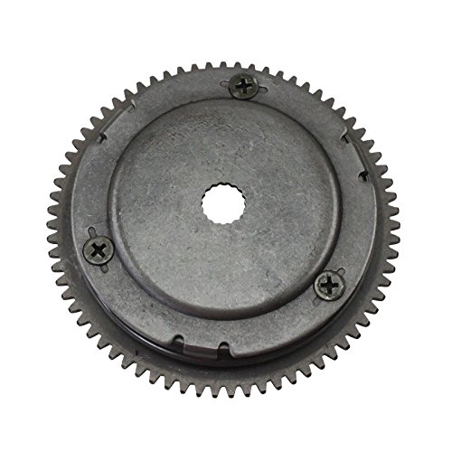 Xfight-Parts Anlasserfreilauf mit Anlasserzahnkranz komplett Kurbelwellenstumpf 13mm verstärkt mit Starterrad und Nadellager Minarelli Motor 2Takt 50ccm 1E40QMB AA-31130102-1-13 für Tauris Samba 50 von Xfight-Parts