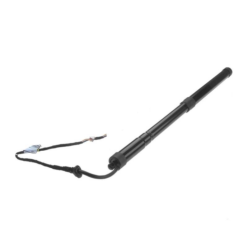 Gasdruckfeder Heckklappe Power Hatch Lift Unterstützung Opener Shock Für Lexus RX350 RX450h RX200T 2015-2019 68910-48071 Elektrische Heckklappe Gas Streben Kofferraum Gasfeder(LH Tailgate) von Xgupxuc