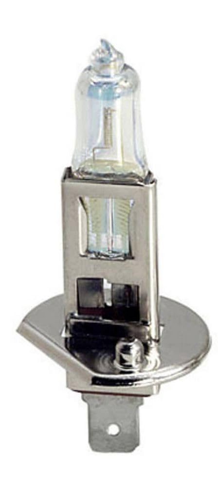 Xplorer Leuchtmittel Halogen Motorrad/Scooter H1 12 V 55 W Ersatzteile Moto Scooter von Xplorer