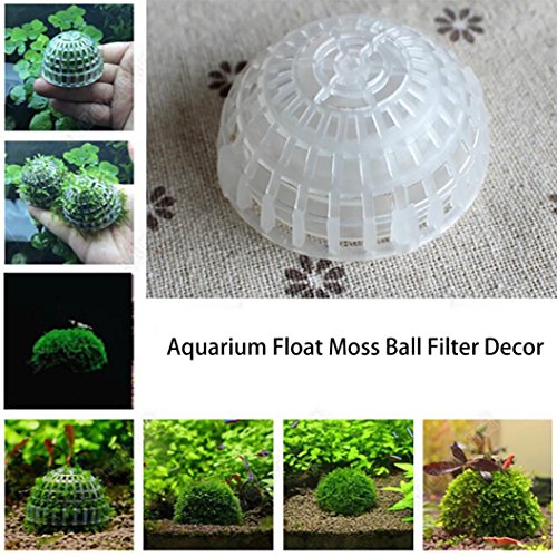 Y56 Kunststoff Aquarium Garnelen Fisch Tank Moos Ball Halter Live Pflanze Gestaltung Decor Filter Transparent Tauchen Ball Moos Ball Moïse Uhr Garnelen House Aquatic Dekorationen Ornaments Y56 Kunststoff Aquarium Garnelen Fisch Tank Moos Ball Halter Live Pflanze Gestaltung Decor Filter Transparent Tauchen Ball Moos Ball Moïse Uhr Garnelen House Aquatic Dekorationen Ornaments von Y56