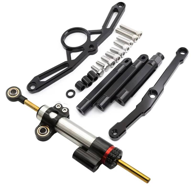 YAQEMOE Lenkungsdämpfer Einstellbarer Kompatibel Mit Yamaha Für MT09 Für FZ09 2021–2023 Universal Motorrad Lenkungsdämpfer Stabilisatorhalterung Verstellbares Montageset(Silver) von YAQEMOE