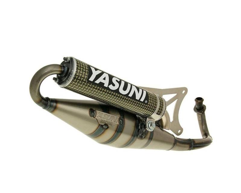 Auspuff YASUNI R Carbon/Aramid für Piaggio Zip Base 50 cc, Fast Rider, RST, Scooter von YASUNI