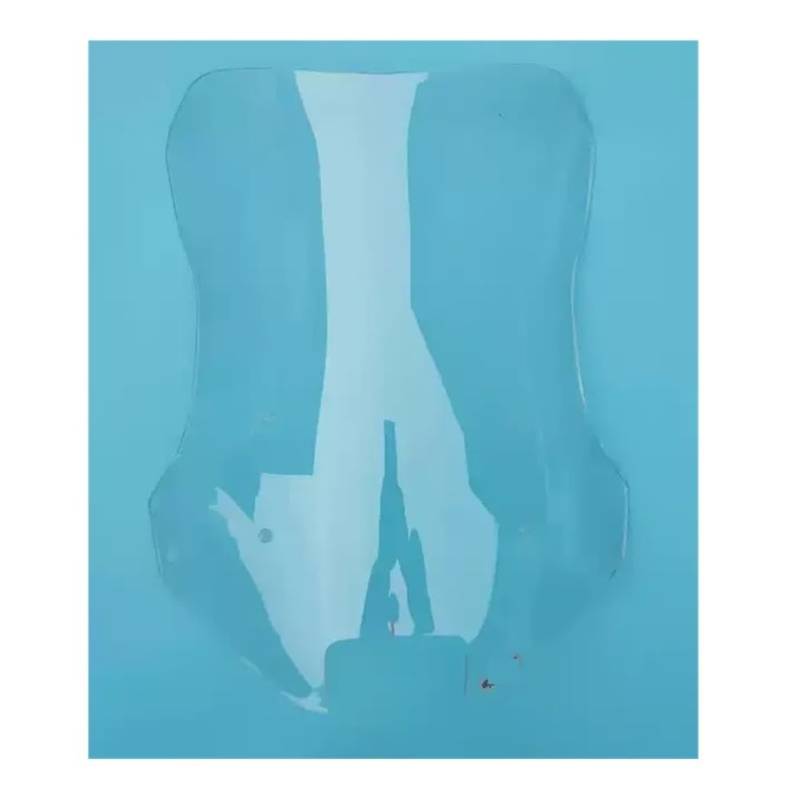 Motorrad Windschild Windschutzscheibe Motorrad Windschutzscheibenänderung Windschutzscheibenänderung Frontscheibe Für TRK251 TRK 251 Trk251 Trk251 von YBVDCXP