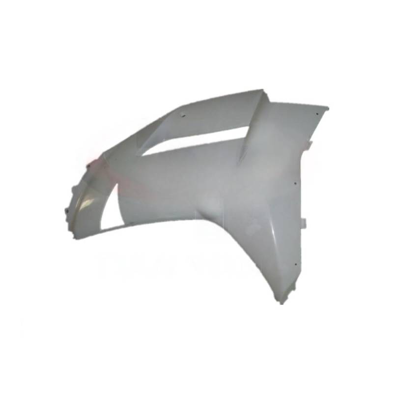 Motorräder Seitenwinglet Motorrad Verkleidung Seite Für ZX6R 2007-2008 Komponenten Verkleidung Cowling Pack Links Und Rechts Motorrad 636 07-08 6R Teile Seitenwindflosse von YIFANGK