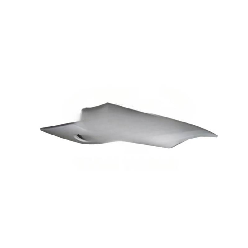 Motorräder Seitenwinglet Motorradzubehör Verkleidung Für GSXR600-750 GSXR750 K8 2008 2009 2010 Karosserie Verkleidung Komponenten Teile Seitenwindflosse von YIFANGK