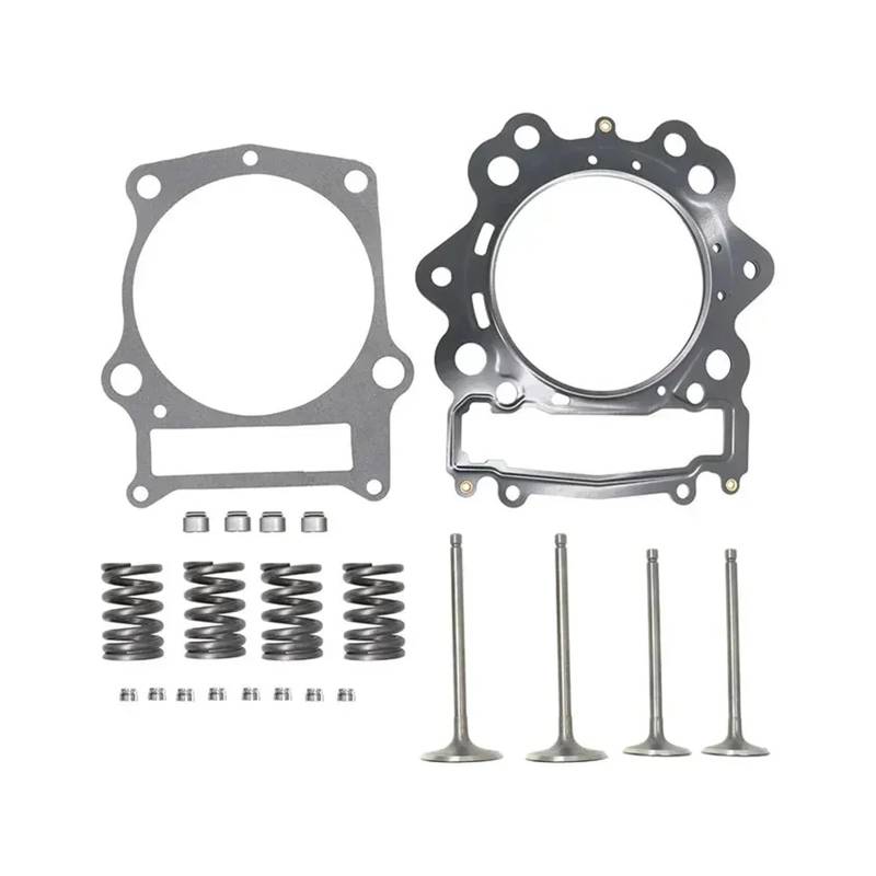 Passt for Raptor 700 YFM700R 2006-2014 Zylinder Intake Ventil Kit von YNMPDUPQ