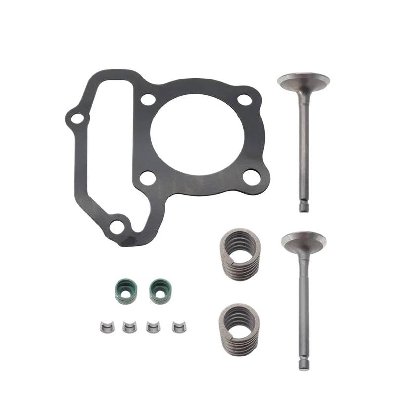 Zylinderkopf Einlass auslassventil Kit Passt for Grizzly125 YFM125 2004-2013 von YNMPDUPQ