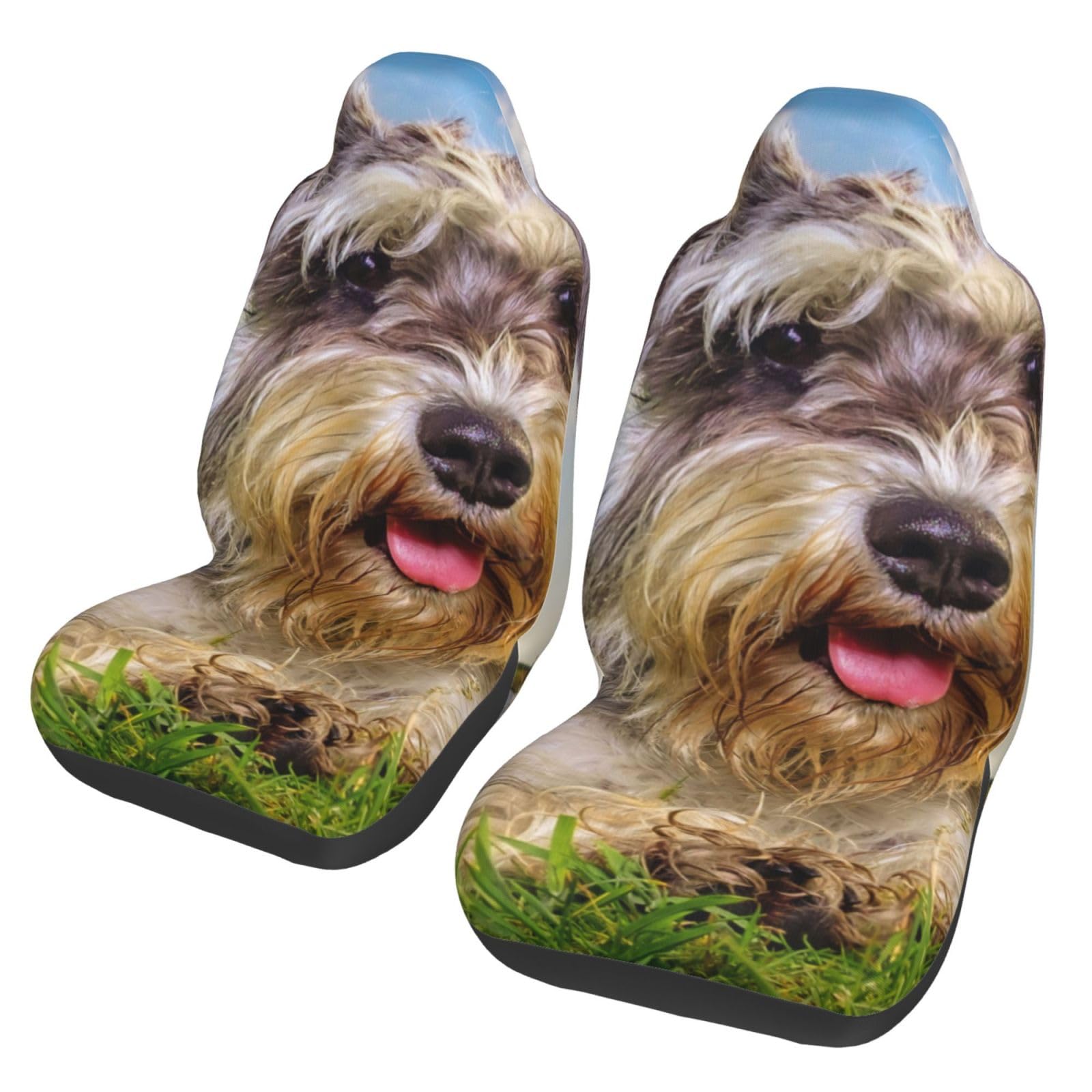 YOFIEN Schnauzer Lawn Pets Graue Hunde Chnauzer, 2-teilige Autositzbezüge, universeller Anti-Rutsch-Sitzschutz für Vordersitze von YOFIEN
