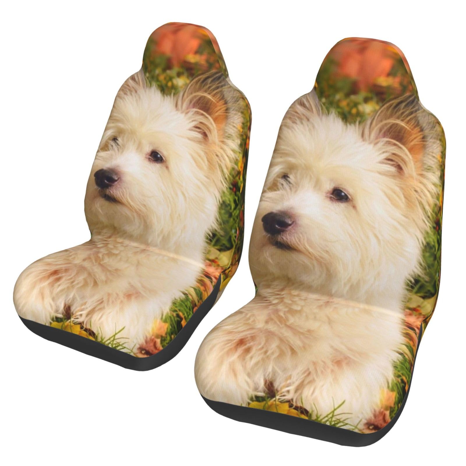 YOFIEN Westie Autumn West Highland White Terrier Hunde, 2-teilige Autositzbezüge, universeller Anti-Rutsch-Sitzschutz für Vordersitze von YOFIEN