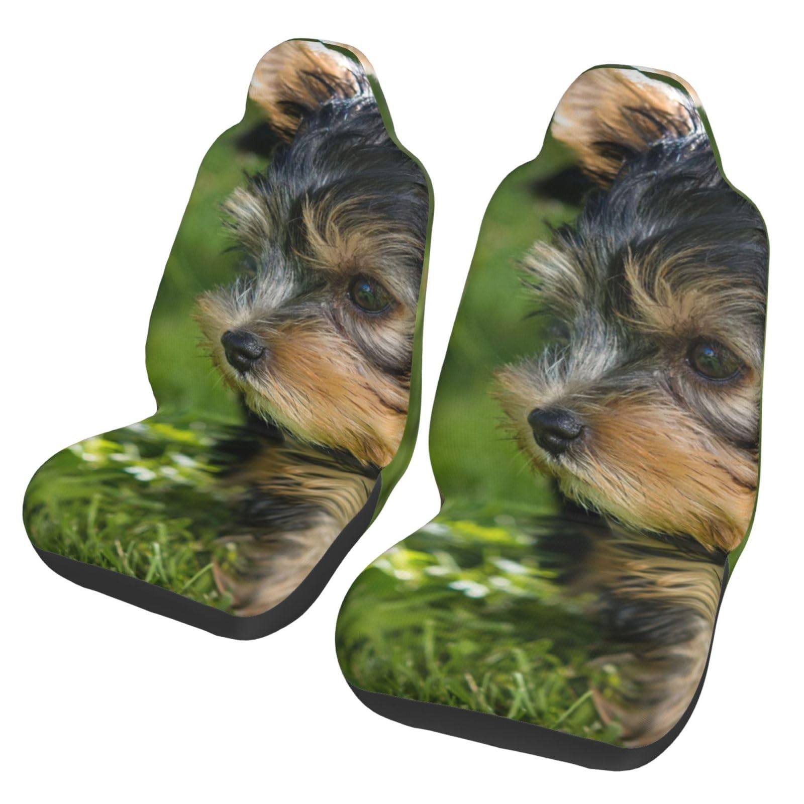 YOFIEN Yorkshire Terrier, grünes Gras, süße Hunde, 2-teilige Autositzbezüge, universeller Anti-Rutsch-Sitzschutz für Vordersitze von YOFIEN