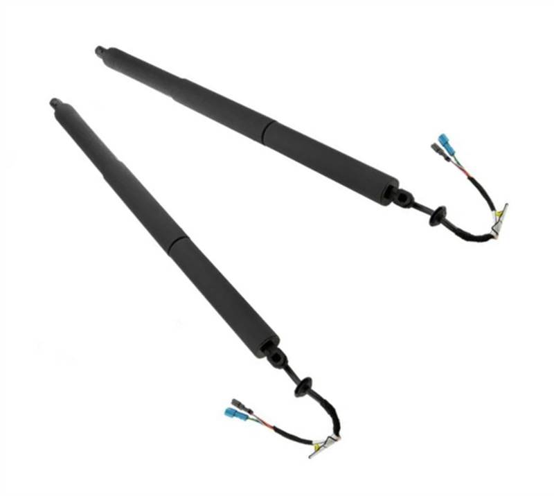 YPLVWSOYQ Gasdruckfedern Gasdämpfer Kompatibel Mit X2 F39 1.5L 2.0L 2017 2018 2019 2020 2021 2022 2023 B48A20A B42S20A B47C20B 51249465654 Heckklappenstütze Hinten Links Rechts von YPLVWSOYQ