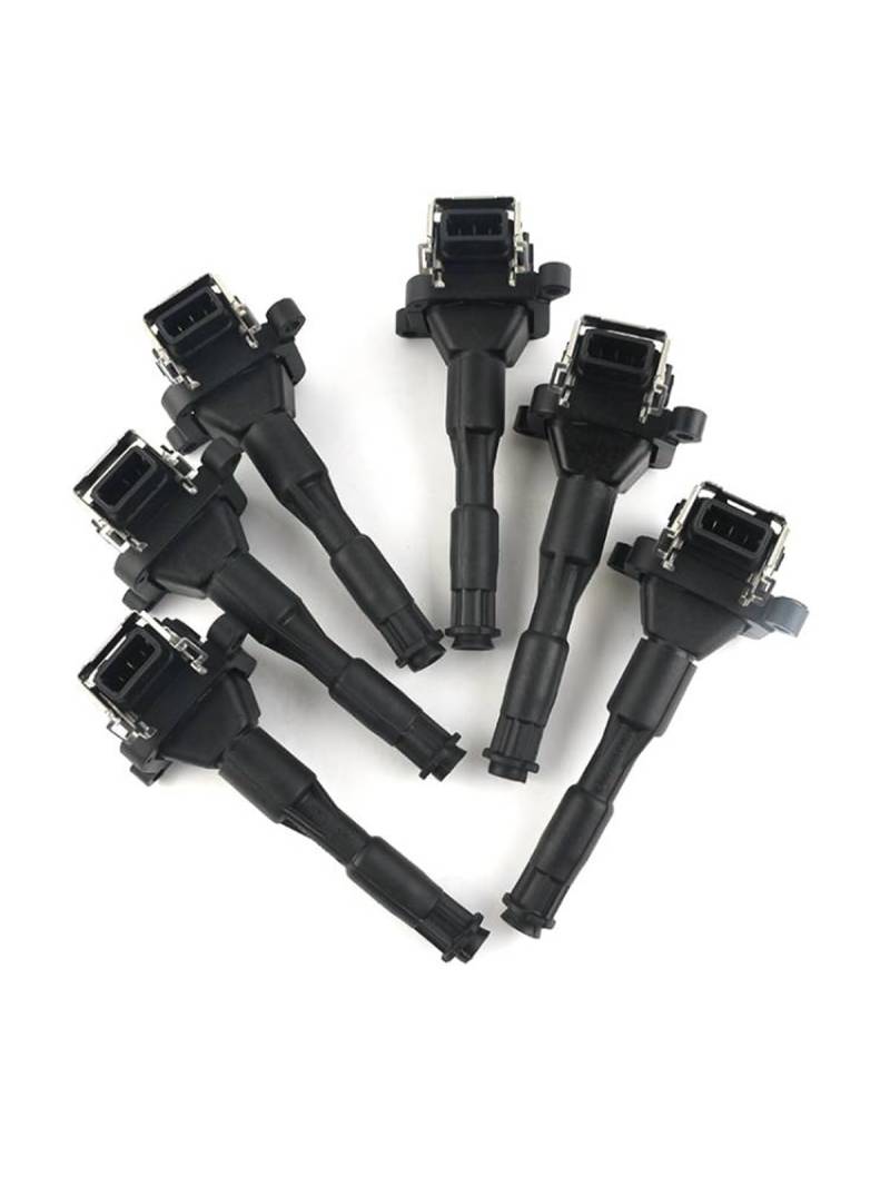 OEM 12131703227 12131748018 / Passend for BMW X5 Z8 E36 E46 E39 E38 Zündspule 0221504029 0221504029 Autoteile-Werkzeuge(6PCS) von YTRAVHI