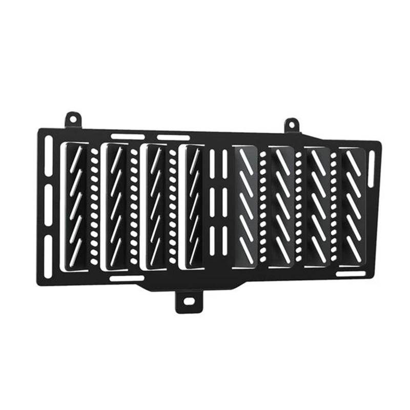 Motorradzubehör Kühlergrillschutzabdeckung Schutz Für BMW F650 GS F650GS Twin 2008 2009 2010 2011 2012 2013(Grille,L) von YTREAMC