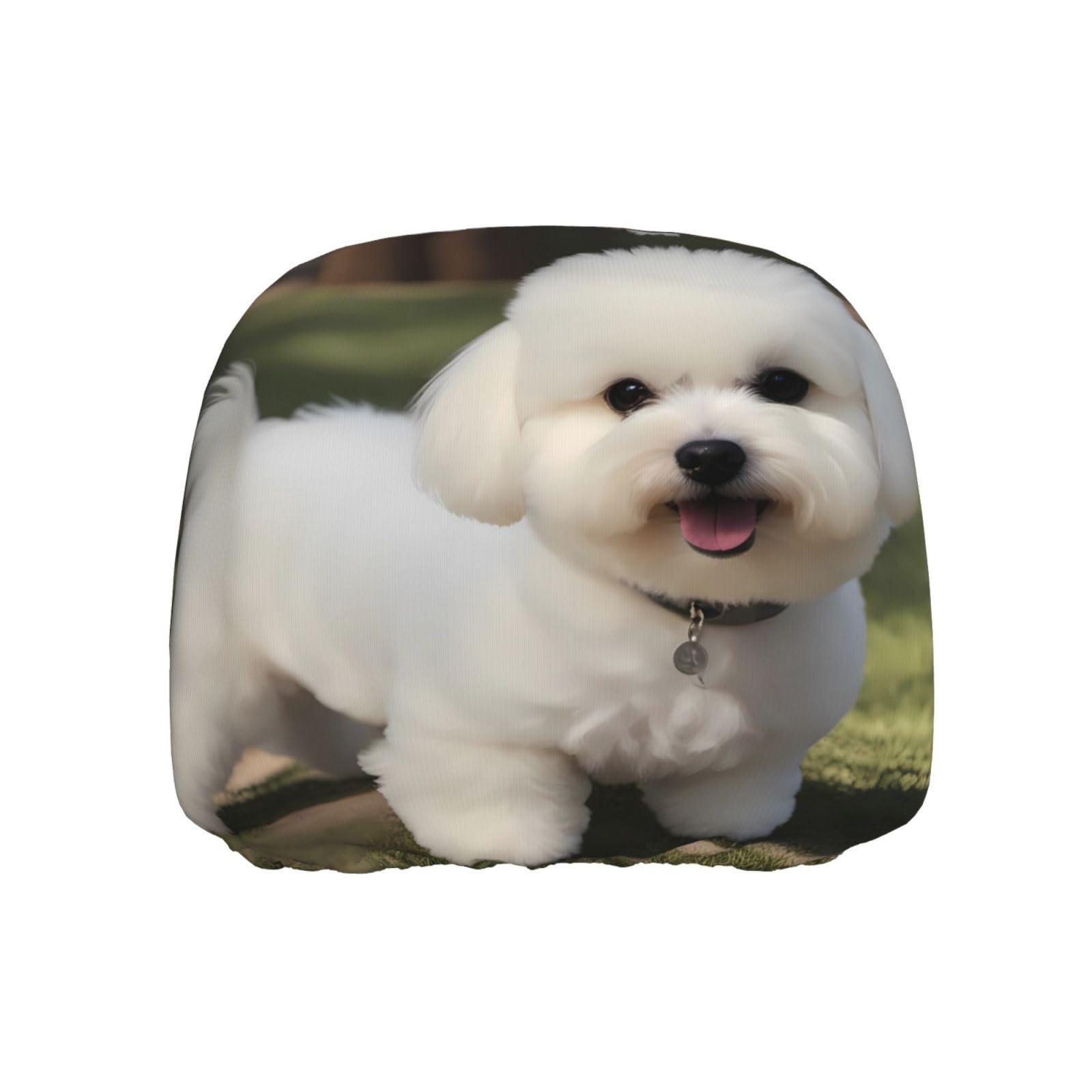YYHWHJDE Bichon Frisé-Hunde-Druck, Auto-Kopfstützenbezug, einteilig, weich und bequem, elastisch, Autozubehör, einfach zu installieren YYHWHJDE Bichon Frisé-Hunde-Druck, Auto-Kopfstützenbezug, einteilig, weich und bequem, elastisch, Autozubehör, einfach zu installieren von YYHWHJDE