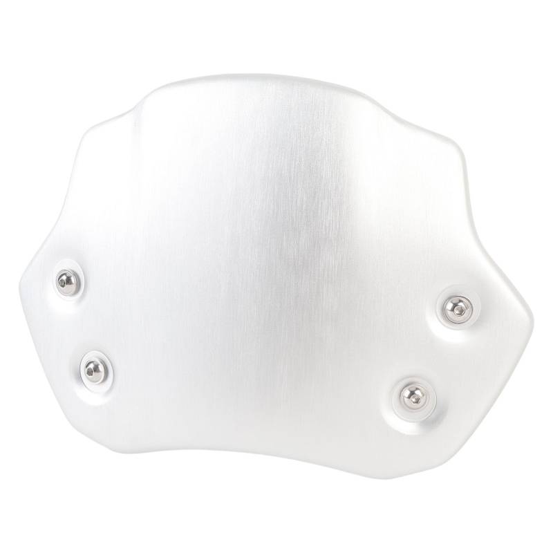 Yctze Motorrad -Windschutzscheibe Aluminiumlegierung Winddicht Vordere Windschutzwindabschnitte mit Halterung Ersatz füR R Neun T Reiner Rennfahrer Scrambler Urban Gs (Silver) von Yctze