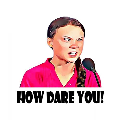 Yidax autoaufkleber S30215# Verschiedene Größen PVC-Aufkleber How Dare You Greta Thunberg Abnehmbarer Autoaufkleber Wasserdicht für Stoßstange Heckscheibe Laptop von Yidax