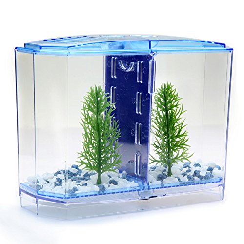 BBT3 Twin Betta Schleife vorn Behälter Aquarium Kit von Yongse