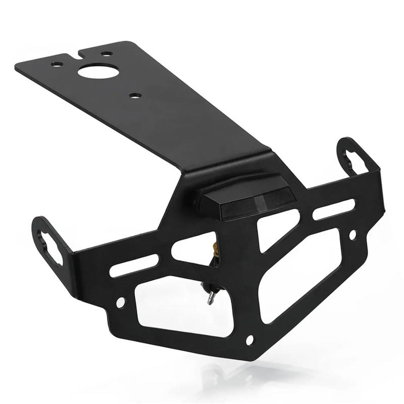 Youmero Motorrad-kennzeichenhalter Kompatibel Mit YZFR125 2008-2009-2010-2011-2012-2013 Motorrad-Hinterrad-Kotflügel-Eliminator Kennzeichenhalter Lichtersatz(Black NO Light) von Youmero