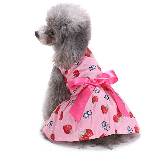 Hund Kleid Yuno Cute Ribbon Dog Clothes Cozy Hund Shirt Haustier Princess Dress up für Katzen Welpen von YuNo