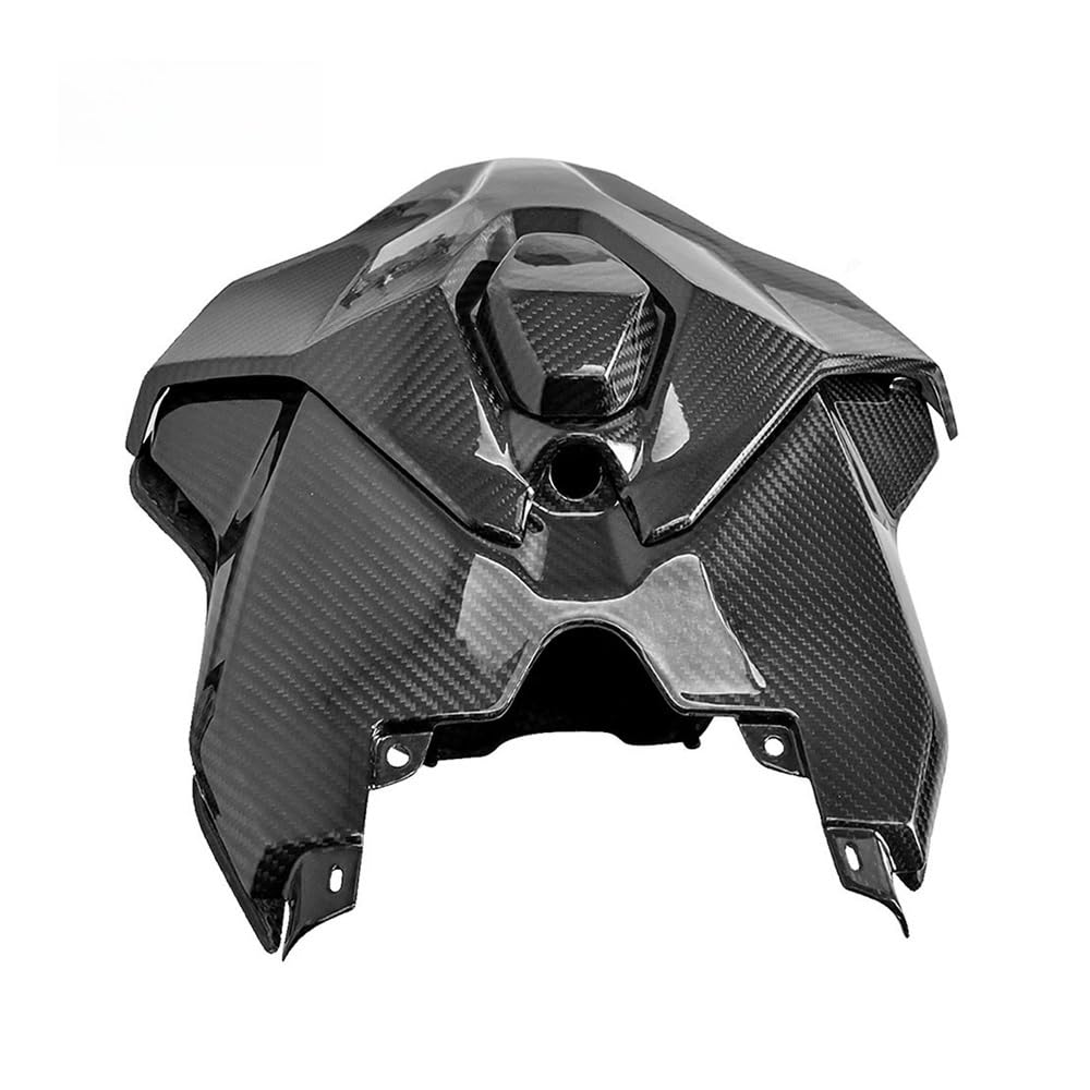 Für S1000RRR Für M1000RR 2023 2024 Zubehör Fiber Motorrad Sitz Schwanz Undertary Hinten Buckel Abdeckung Körper Verkleidung Kits Hinterer Soziussitz(BLACK 1) von Yuegtik