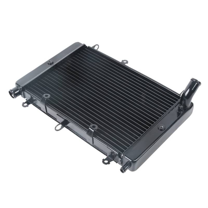ZAPYVET Motorrad Schwarz Ersatz Motor Kühler Kühler Kühlsystem, for Yamaha, FZS1000 2001-2005 2004 2003 2002 Motorrad-Wasserkühler von ZAPYVET