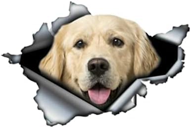 3ps Golden Retriever Aufkleber Zerrissener Metall -Stoßfänger -Aufkleber Lustiger Autoaufkleber Fenster Kofferraum 3D -Auto -Styling, 13 cm*8 cm Lustiger Auto Autohalter Aufkleber 3ps Golden Retriever Aufkleber Zerrissener Metall -Stoßfänger -Aufkleber Lustiger Autoaufkleber Fenster Kofferraum 3D -Auto -Styling, 13 cm*8 cm Lustiger Auto Autohalter Aufkleber von ZCHZCS