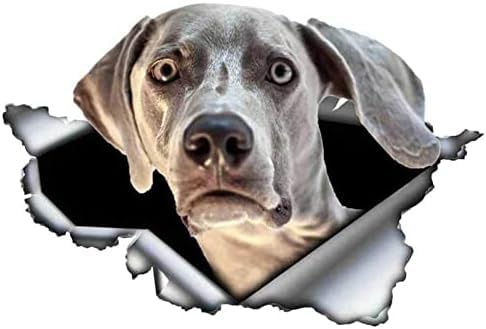 3ps Graue Hundauto Aufkleber Zerrissene Metall -Aufkleber Reflektierende Aufkleber Wasserdichte 3D -Auto -Styling -Hunde -Aufkleber Vinyl 13 Cm X 9 Cm Laptop -Koffer -Truckzubehör Auto -Aufkleber von ZCHZCS