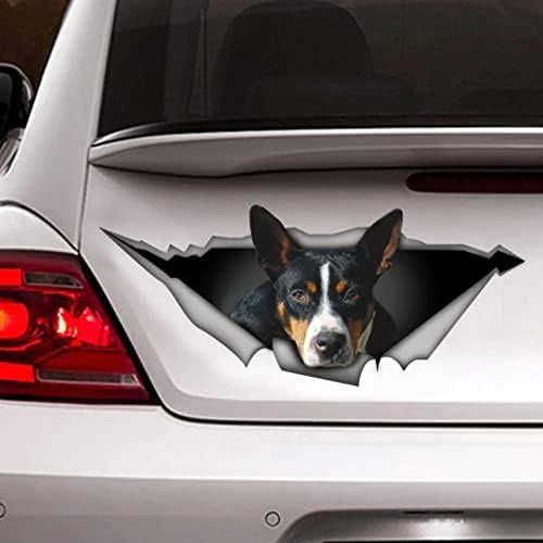 3ps Hundewagenaufkleber, Hundeaufkleber, Hundeaufkleber, Auto -Aufkleber, Lustiger Aufkleber, Laptop -Aufkleber, 3D -Aufkleber -Dekorationsaufkleber -Aufkleber Lustiger Auto -Stoßfänger Aufkleber von ZCHZCS