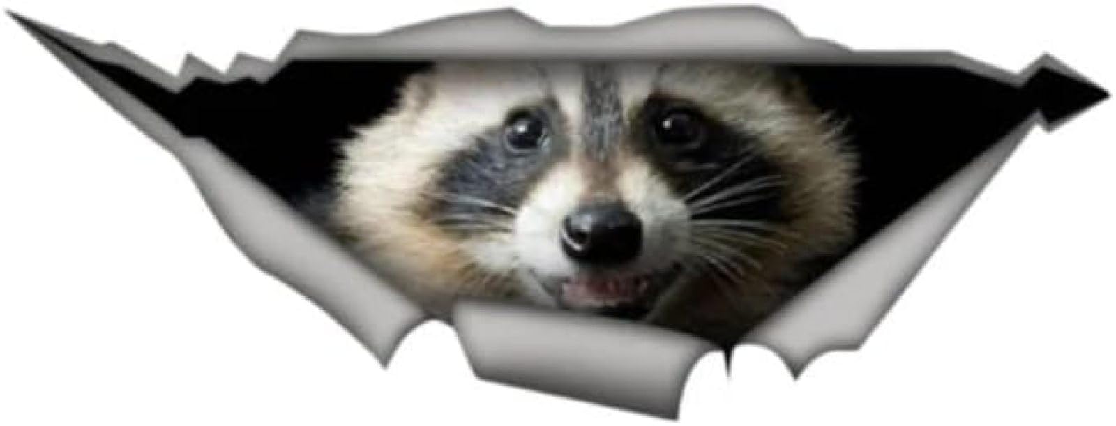 ZCHZCS 3D Raccoon wasserdichte Autoaufkleber Vinyl -Aufkleber -Stoßfänger Kratzer Aufkleber Fahrradaufkleber (Größe: 17 cm) von ZCHZCS