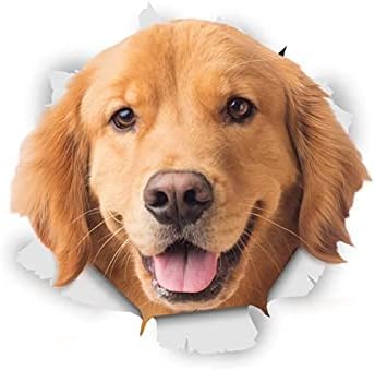 ZCHZCS 3ps 3D Golden Retriever Hundeaufkleber Für Auto -Laptop -Gepäck Kühlschrank Tür Dekoration Dekoration Aufkleber 20 cm Autoaufkleber von ZCHZCS