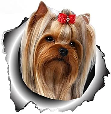 ZCHZCS 3ps 3D Hund Zorntierauto Aufkleber Fenster Stoßfänger Vinyl Wasserdicht von ZCHZCS
