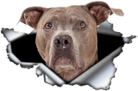 ZCHZCS 3ps Abnehmbare Selbstklebende Abziehbildhund Niedlicher Haustierauto-Aufkleber wasserdichte Auto-Dekore Auf Stoßfänger Heckscheiben-Laptop Home 20 cm Auto Aufkleber Autoaufkleber von ZCHZCS