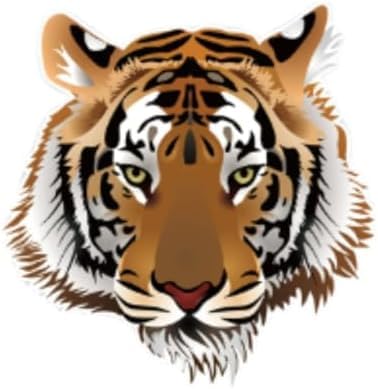 ZCHZCS 3ps Außenzubehör Persönlichkeit Tiger Kopf Aufkleber wasserdichte Aufkleber PVC 20 cm Auto Aufkleber Aufkleber Aufkleber Aufkleber von ZCHZCS