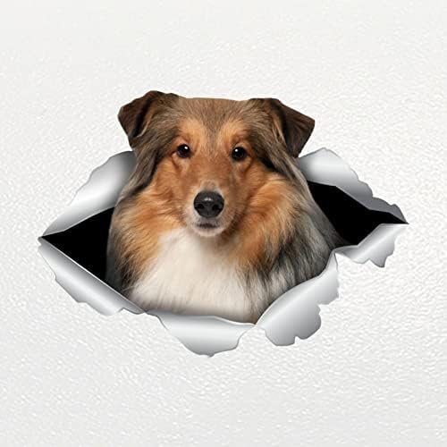 ZCHZCS 3ps Autoaufkleber Hund Aufkleber Aufkleber Aufkleber Aufkleber Hundeaufkleber Auto Aufkleber Vinyl Aufkleber Hund Aufkleber Laptop Koffer Accessoires Auto -Aufkleber von ZCHZCS