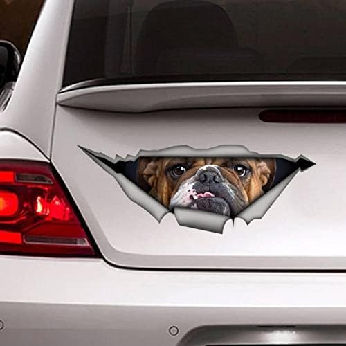 ZCHZCS 3ps Haustierauto Aufkleber Hundeaufkleber, Auto -Aufkleber, Vinyl -Aufkleber, Haustieraufkleber, Hundeabziehal von ZCHZCS