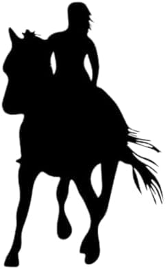 ZCHZCS 3ps Horse Riding Creative Car Sticker Art 8x13cm Truck Laptop Decoration von ZCHZCS