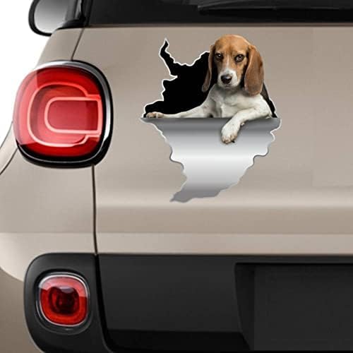 ZCHZCS 3ps Hund Aufkleber Auto Dekor Auto Aufkleber Beagle Aufkleber Beagle Decal Beagle Fenster Aufkleber Beagle Dekor Auto Aufkleber Beagle Dekoration Aufkleber Aufkleber ZCHZCS 3ps Hund Aufkleber Auto Dekor Auto Aufkleber Beagle Aufkleber Beagle Decal Beagle Fenster Aufkleber Beagle Dekor Auto Aufkleber Beagle Dekoration Aufkleber Aufkleber von ZCHZCS