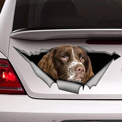 ZCHZCS 3ps Hundauto -Aufkleber, Hundauto -Aufkleber, Hundewagenaufkleber Laptop Koffer Truck Accessoires Auto Aufkleber Aufkleber Lustiger Auto Autostange Aufkleber von ZCHZCS