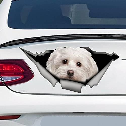 ZCHZCS 3ps Hundewagen -Aufkleber, Hundemagnet, Vinyl -Aufkleber, Hundaufkleber Laptop Koffer Accessoires Auto Aufkleber Aufkleber Aufkleber Lustiger Auto Autohalter Aufkleber Auto -Aufkleber von ZCHZCS