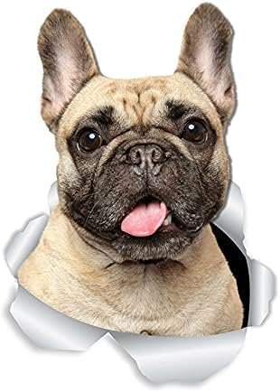 ZCHZCS 3ps Liebenswerte Hundehund -Wandtattoos Hunde Toilettenaufkleber 3D -Hundauto Fenster Und Autoaufkleber 20 cm Laptop Koffer Accessoires Auto -Aufkleber von ZCHZCS