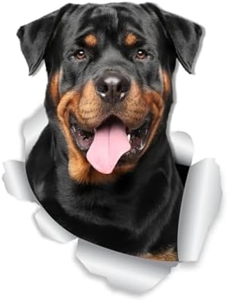 ZCHZCS 3ps Selbstklebende Aufkleber-Hundewagen Aufkleber wasserdichte Auto-Dekore Auf Stoßfänger Heckscheibe 20 cm Autoaufkleber Auto Aufkleber Aufkleber Autoaufkleber ZCHZCS 3ps Selbstklebende Aufkleber-Hundewagen Aufkleber wasserdichte Auto-Dekore Auf Stoßfänger Heckscheibe 20 cm Autoaufkleber Auto Aufkleber Aufkleber Autoaufkleber von ZCHZCS