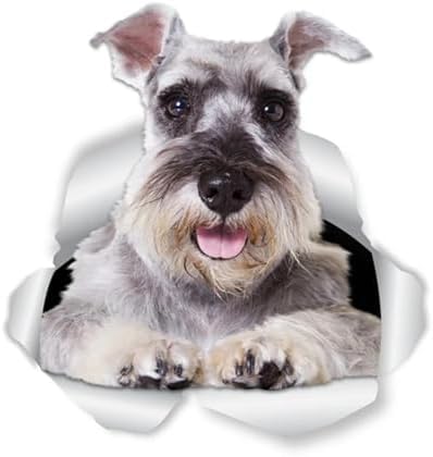 ZCHZCS 3ps Selbstklebende Aufkleber-Hundewagen Aufkleber wasserdichte Auto-Dekore Auf Stoßfänger Heckscheibe 20 cm Autoaufkleber Auto Aufkleber Aufkleber Autoaufkleber von ZCHZCS