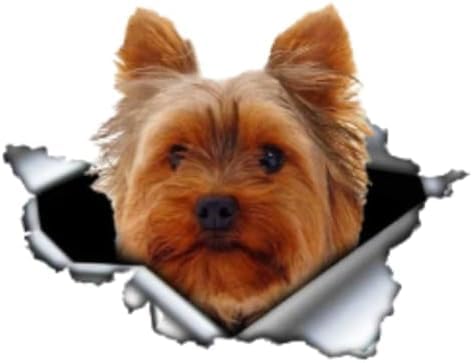 ZCHZCS 3ps Selbstklebende Aufkleber-Hundewagen Aufkleber wasserdichte Auto-Dekore Auf Stoßfänger Heckscheibe 20 cm Autoaufkleber Auto Aufkleber Aufkleber Autoaufkleber ZCHZCS 3ps Selbstklebende Aufkleber-Hundewagen Aufkleber wasserdichte Auto-Dekore Auf Stoßfänger Heckscheibe 20 cm Autoaufkleber Auto Aufkleber Aufkleber Autoaufkleber von ZCHZCS