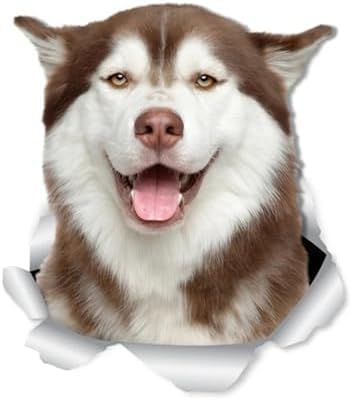 ZCHZCS 3ps Selbstklebende Aufkleber Husky-Autoaufkleber wasserdichte Auto-Dekore Auf Stoßfänger Heckscheiben-Laptop 20 cm Autoaufkleber Auto Aufkleber Dekoration Aufkleber Autoaufkleber von ZCHZCS