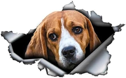 ZCHZCS 3ps Selbstklebender 3D-Aufkleber-Hund-Haustier-Tierauto-Aufkleber wasserdichte Auto-Dekore Auf Stoßfänger Heckscheiben-Laptop 26 cm Autokondekorationsaufkleber Autoaufkleber von ZCHZCS