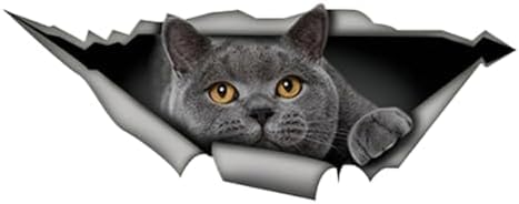 ZCHZCS 3ps Selbstklebender 3D-Aufkleber-Katzenauto-Autoaufkleber Wasserdichtes Auto-Dekore Auf Stoßfänger Heckscheiben-Laptop 17 cm Autoaufkleber Auto-Aufkleber-Autoaufkleber ZCHZCS 3ps Selbstklebender 3D-Aufkleber-Katzenauto-Autoaufkleber Wasserdichtes Auto-Dekore Auf Stoßfänger Heckscheiben-Laptop 17 cm Autoaufkleber Auto-Aufkleber-Autoaufkleber von ZCHZCS